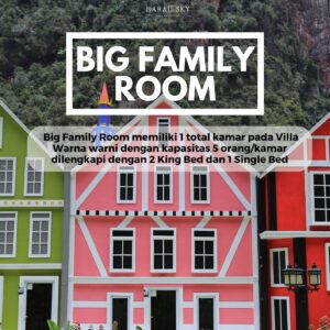 BIG FAMILY ROOM