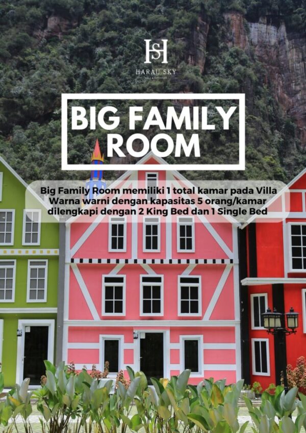 BIG FAMILY ROOM