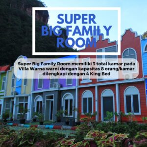 SUPER BIG FAMILY ROOM